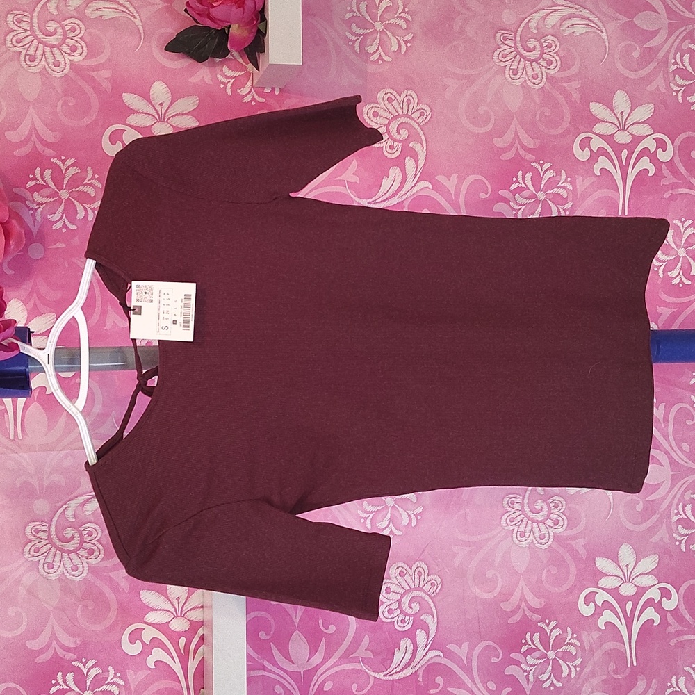 Zara Rich Brown Short Sleeve Top